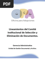 Lineamientos Del Comité Cised Licda. Fermán 23052024