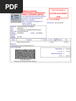 Factura Electrónica N°224