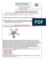 Receptores Sensoriales