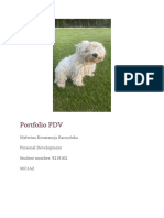 Annotated-Portfolio PDV