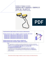 PDF Documento