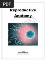 Reproductive Anatomy