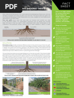 CMAA Tree Paving Factsheet