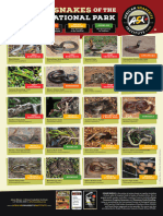 Asi Csnakesknp-A3-Poster Eng Web