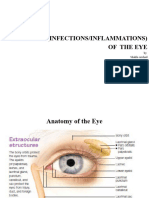 Disorders (Infections/Inflammations) of The Eye: by Shahla Arshad Lecturer Ins-Kmu