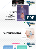 5 - Sistema Digestivo