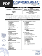 170302programacion de Sistemas de Informacion