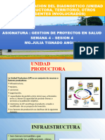 Formulacion Del Diagnostico