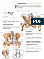 Lesiones de Pelvis