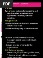 B6a5group Behaviour & Dynamics