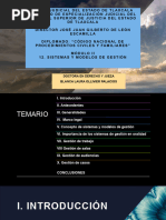 PODER JUDICIAL DEL ESTADO DE TLAXCALA. SISTEMAS Y MODELOS DE GESTION CNPC y F - 20 JUNIO 2024 JUEZA LAURA OLLIVIER