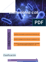 Escherichia Coli 2024