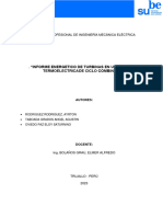 Informe Energetico de Turbinas en Una Central Termoelectrica de Ciclo Combinado