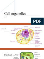 Cell Organelles 11 As