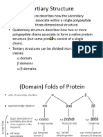 Domains in Proteins