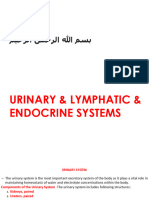 Anatomy Embryology Dent Urinary Lymphatic Endocrine Systems