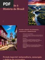 Introducao A Historia Do Brasil