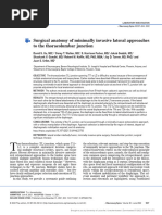 (Journal of Neurosurgery: Spine) Surgical Anatomy of Minimally Invasive Lateral Approaches To The Thoracolumbar Junction - 042840