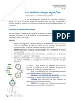 Clonación en Vectores Con Gen Reportero - SolisPaulina