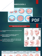 HTTPSFCM - Aulavirtual.unc - Edu.arpluginfile - Php486215mod resourcecontent1Clase20Teorico-Práctica PDF