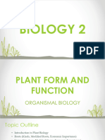 Lesson 1.1 Plant Biology - 2