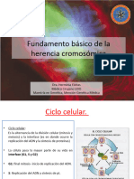 Fundamentos Basicos de La Herencia Cromosomica