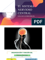 Sistema Nervioso Central