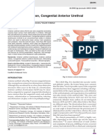 Once in A Blue Moon, Congenital Anterior Urethral Diverticulum