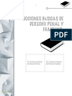 NOCIONES BASICAS Derecho Penal y Familiar