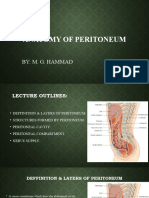 Lec3 - Anatomy of Peritoneum