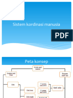 Sistem Kordinasi Manusia