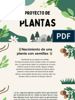 Plantas