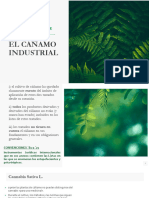 EL CÁÑAMO INDUSTRIAL Consideraciones Jurídicas DIANA BARRENECHE