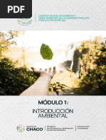 Módulo 1 - Introducción Ambiental