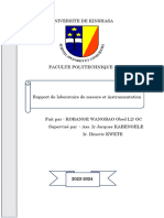 Rapport de Labo Mesure Obed