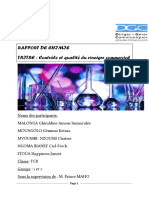 RAPPORT DE CHIMIE DU 1er TP Malo