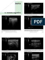 Atlas Diagnostico Por Imagem