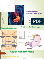 Gastro 2022