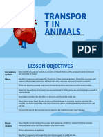 G.10 - Chapter 9 - Transport in Animals 2