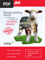 Lambing Advice