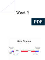 Biotec-401 First 5-7 Weeks (Till Mid) - 66-100