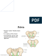 10 Pelvis