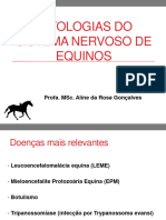 2 Aula Patologias Do Sistema Nervoso