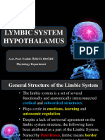 4 Limbic System Hypothalamus Dr. Nadide ÖZKUL