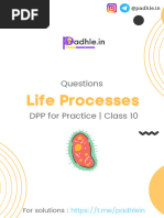 Life Processes DPP Questions