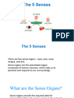 5 Sense Organs