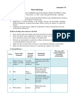 6 Pathology