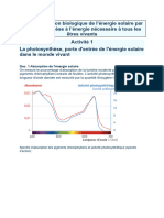 Photosynthese 2