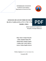 Informe Petrología y Petrografía Sedimentaria, Curiqueo, Espejo, Velázquez, Verbal, Zagolín