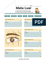 Bagian Mata Luar Lembar Kerja Pendidikan IPAS Hijau Kuning Kotak Ilustrasi - 20240729 - 162228 - 0000